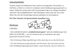 2021_Dorfratsch_druck-023